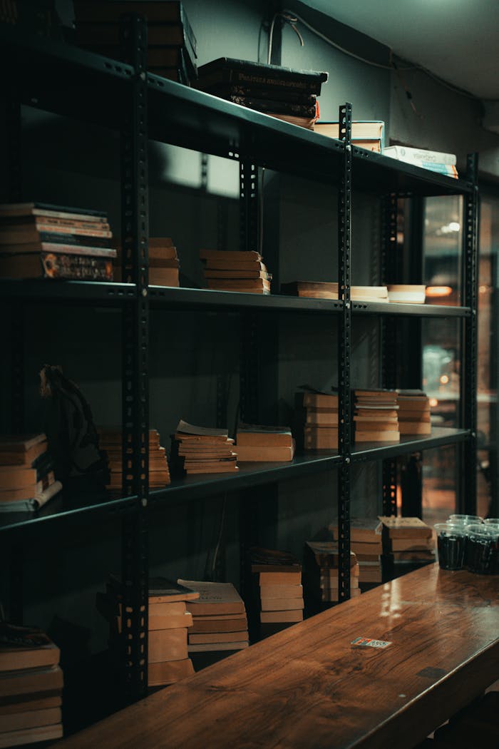 A warm, inviting library scene with vintage wooden shelves filled with books, creating a cozy reading atmosphere.