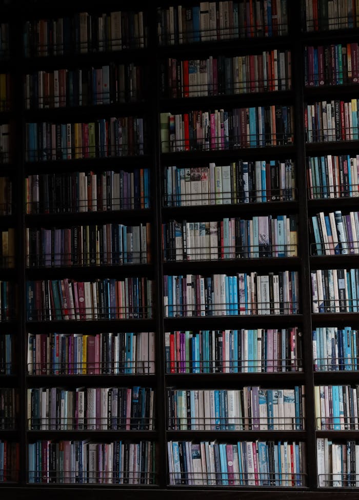 Dimly lit library shelf filled with a diverse collection of books.