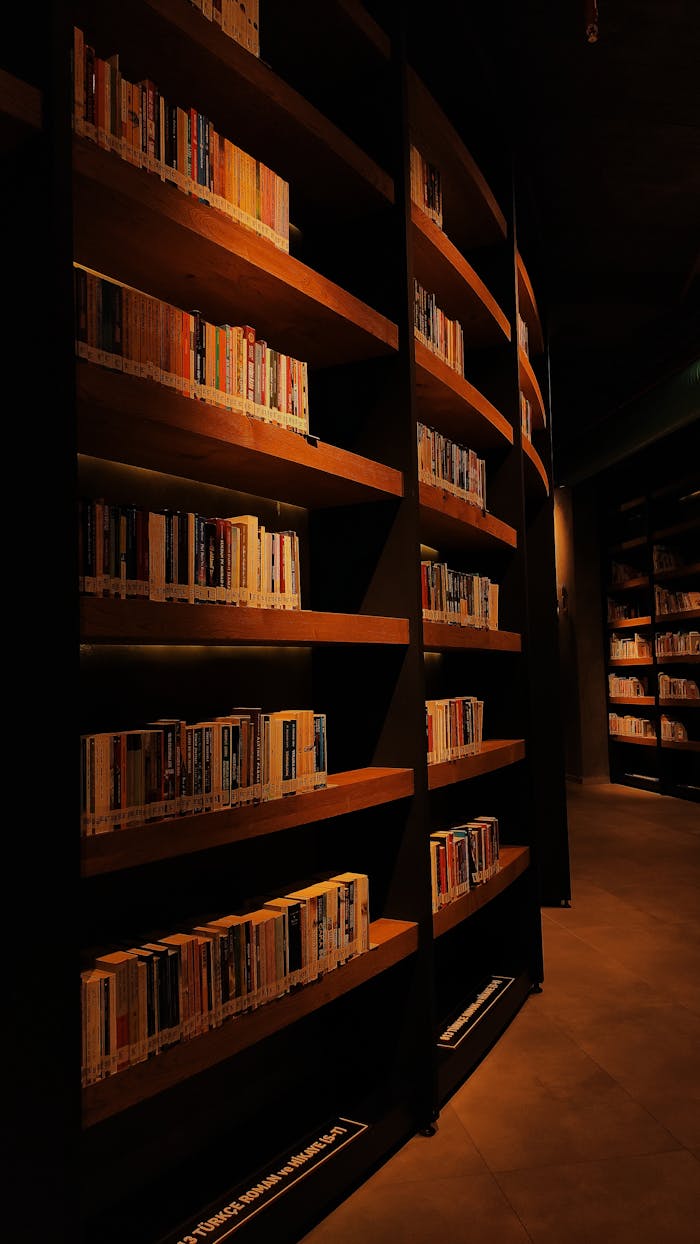 Elegant library setting with curved bookshelves filled with books in Istanbul, Turkey.
